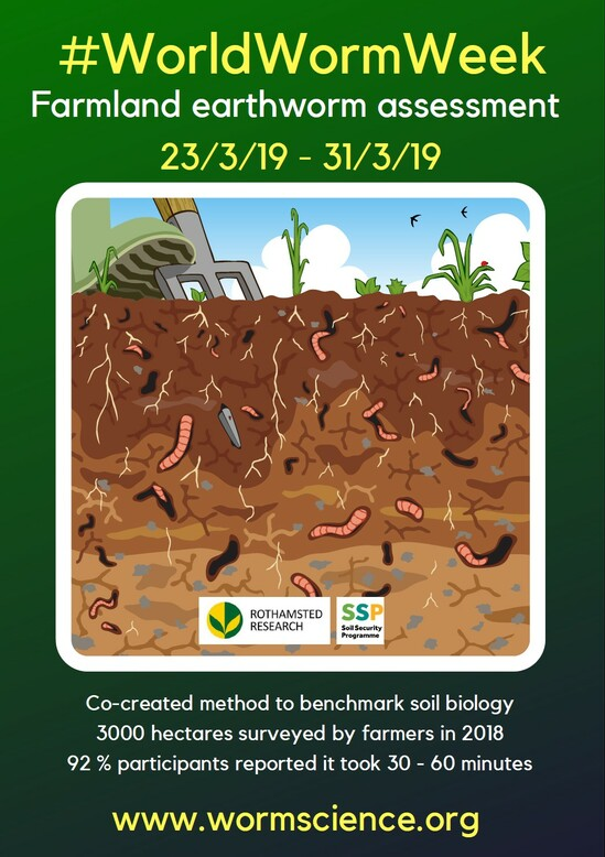 World Worm Week